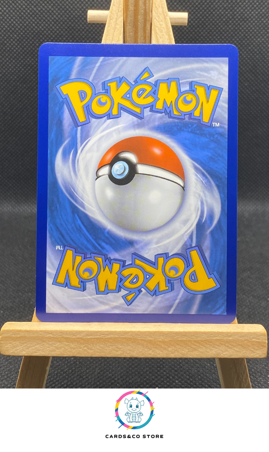 Shifours Mille Poings Vmax TG30/TG30 dos