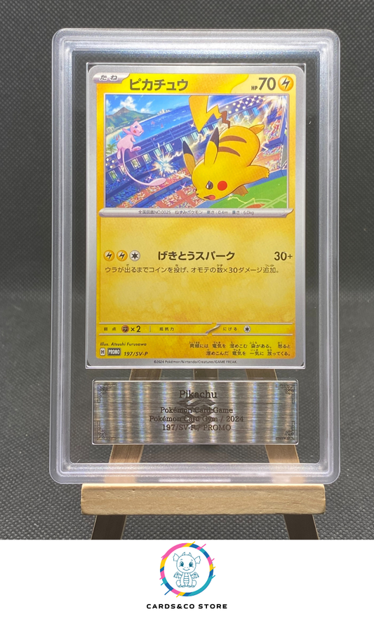 Promo Gym Event Campaign - Pikachu 197/SV-P - JPN - ARS 8