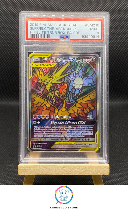 2019 - Promo Soleil et Lune - Sulfura, Electhor et Artikodin SM210 - FR - PSA 9