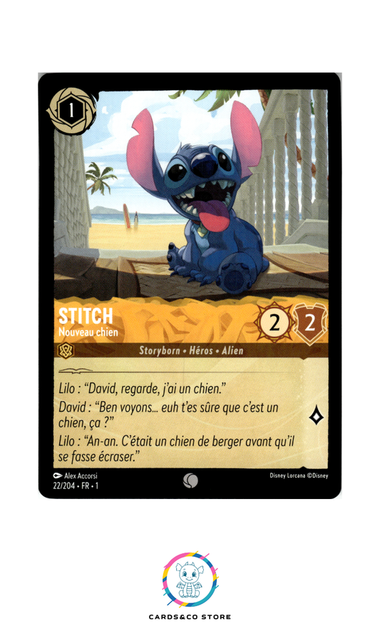 Stitch, Nouveau chien - 22/204 - Commune