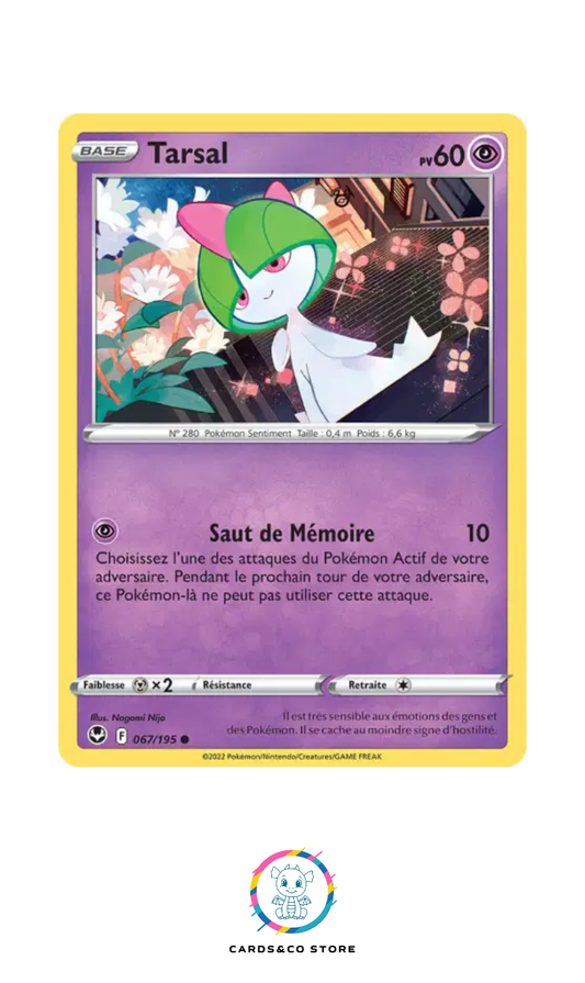 EB12 - Tarsal 067/195