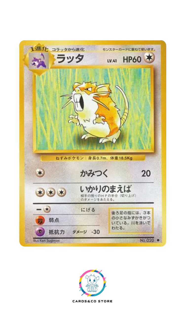 Expansion Pack - Basic Set - No.020 - Raticate - JPN