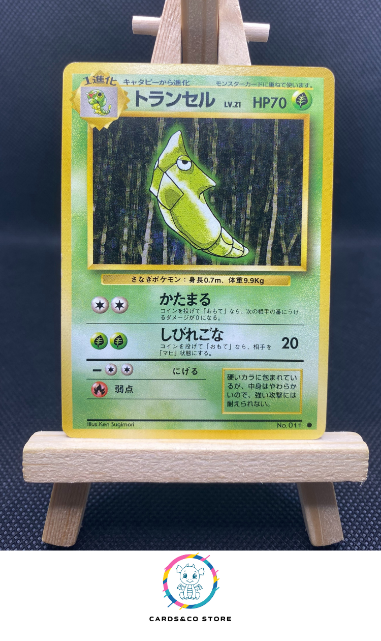 Expansion pack Metapod No.011