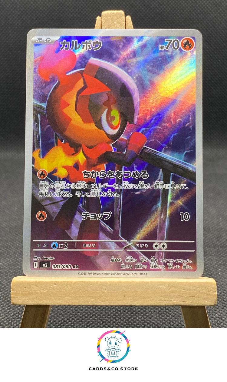 M2 - 083/080 - Charcadet - AR - JPN