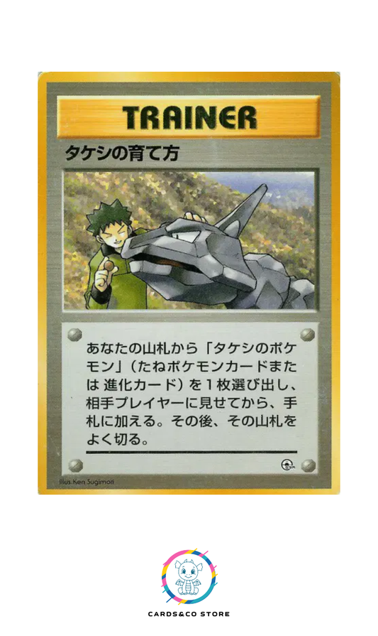 Nivi City Gym - Trainer - Brock's Training Method - JPN