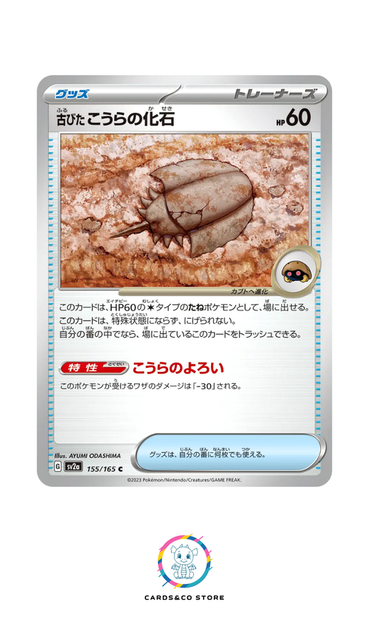 SV2a - 155/165 - Old Dome Fossil